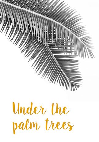 Under the palm trees von David & David Studios