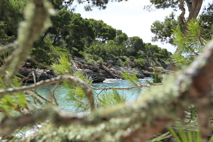 kristallklares Wasser in einer kleinen Bucht