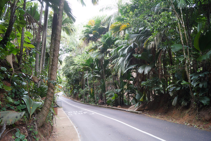 Straße auf den Seychellen im indischen Ozean
