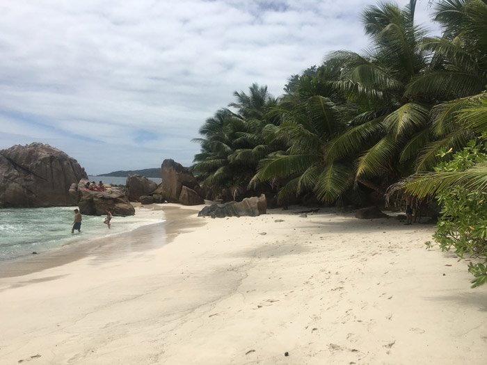 Strand mit Palmen und feinem Sand auf den Seychellen