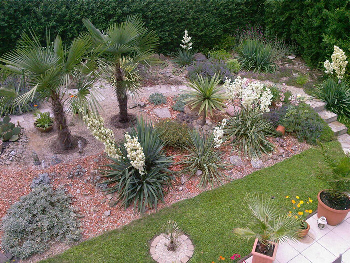 sehr schöner mediterraner Garten in Dresden