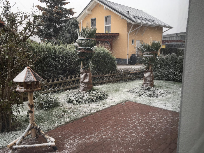 ausgepflanzte Palmen mit leichtem Schnee bedeckt