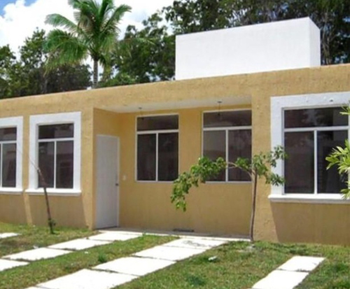Bild: Haus und die selbstgepflanzten Kokospalmen in Mexiko hinter dem Haus