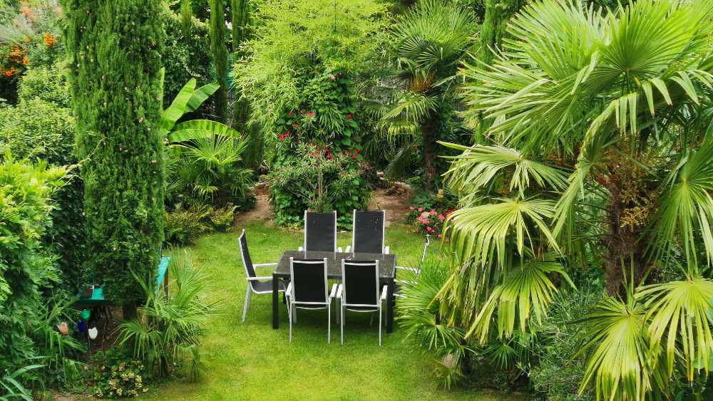 Tisch und Stühle inmitten eines Gartens mit Palmen, Bananen und Zypressen in Neustadt an der Weinstraße 