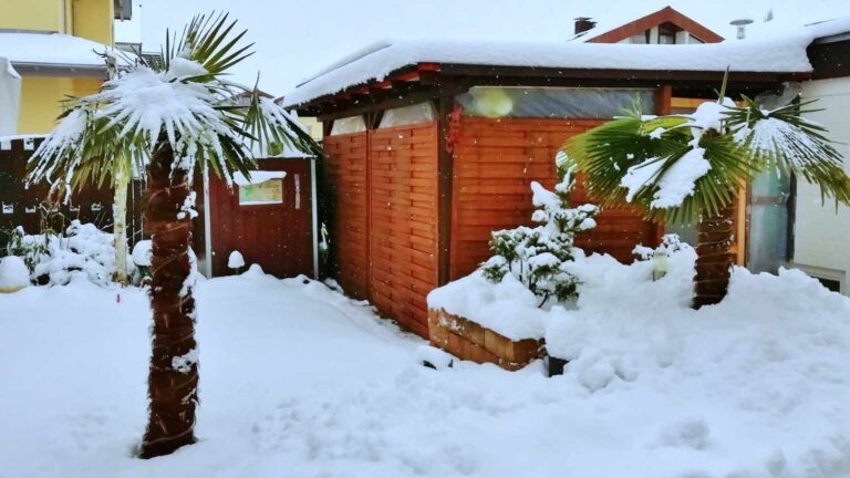 Palmen im Schnee in Baden Württemberg